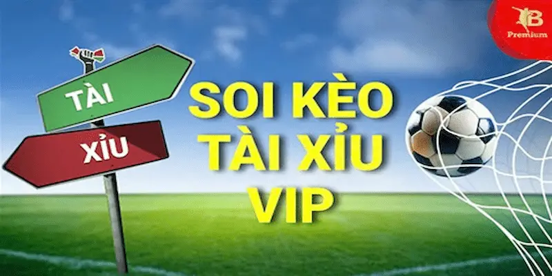 Tầm quan trọng của Soi kèo tài xỉu